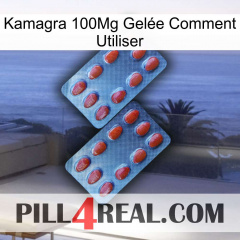 Kamagra 100Mg Gelée Comment Utiliser 05